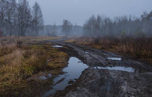 Сырой декабрь стучится в двери