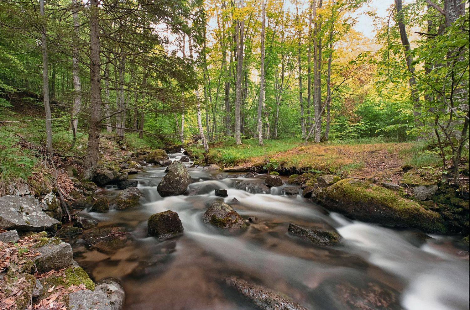 , Александър Сандев
