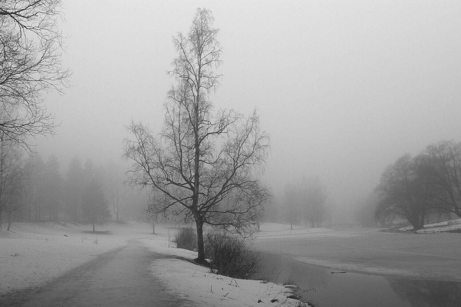 , Сергей Григорьев