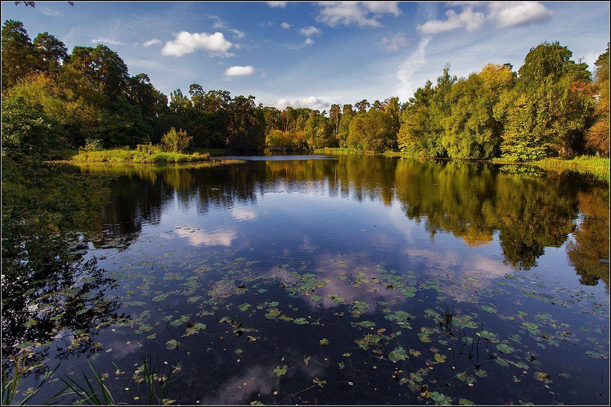 москва, осень, озеро, лес, отражение, АНАТОЛИЙ ДОВЫДЕНКО