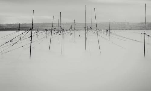 Начало: печаль.