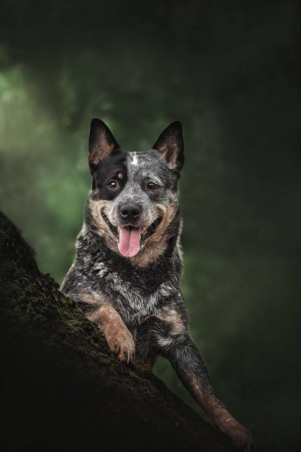 , Юлия Гончар