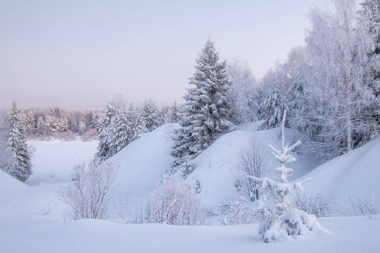 пейзаж, зима, мороз, природа, рассвет, Андрей Малыгин