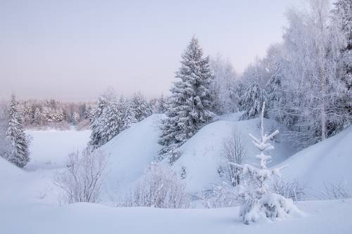 Заснеженный берег реки