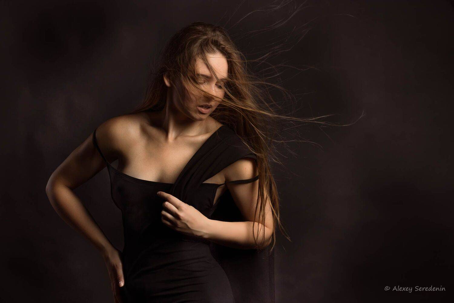 , Алексей Середенин