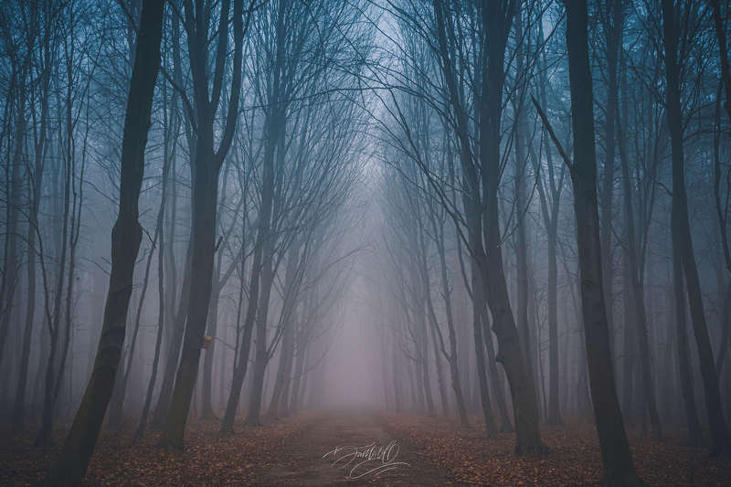 Сонная лощина. фото превью