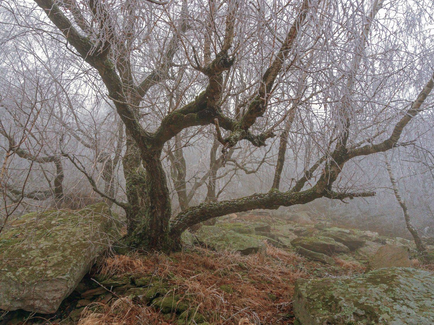 туман, кмв, развалка, Максим
