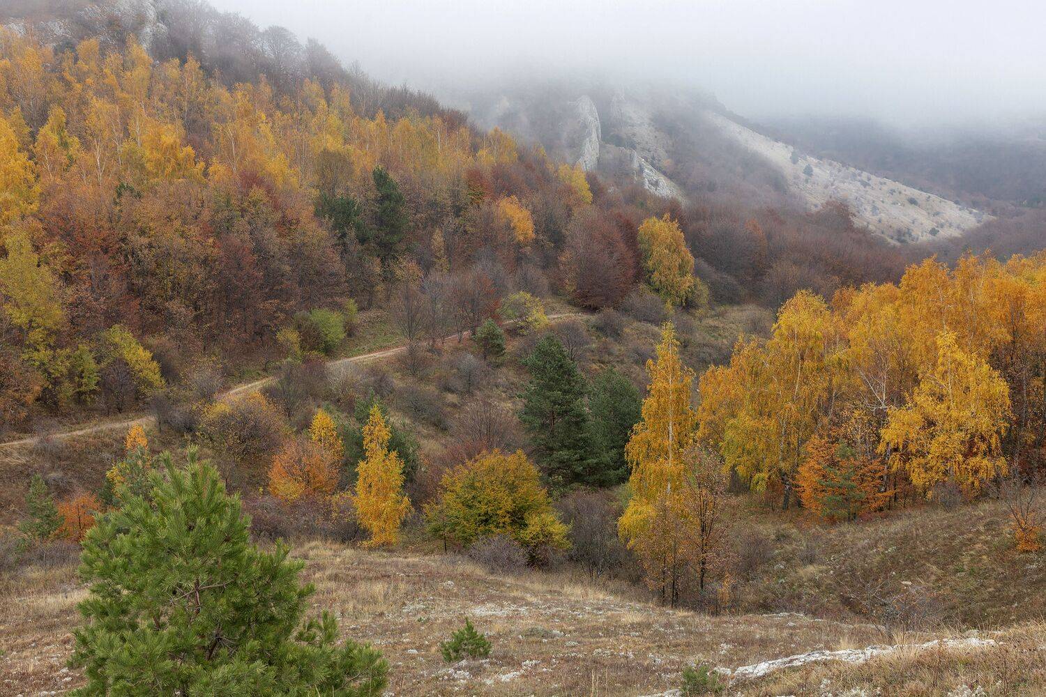 Крым, Елена Гусева