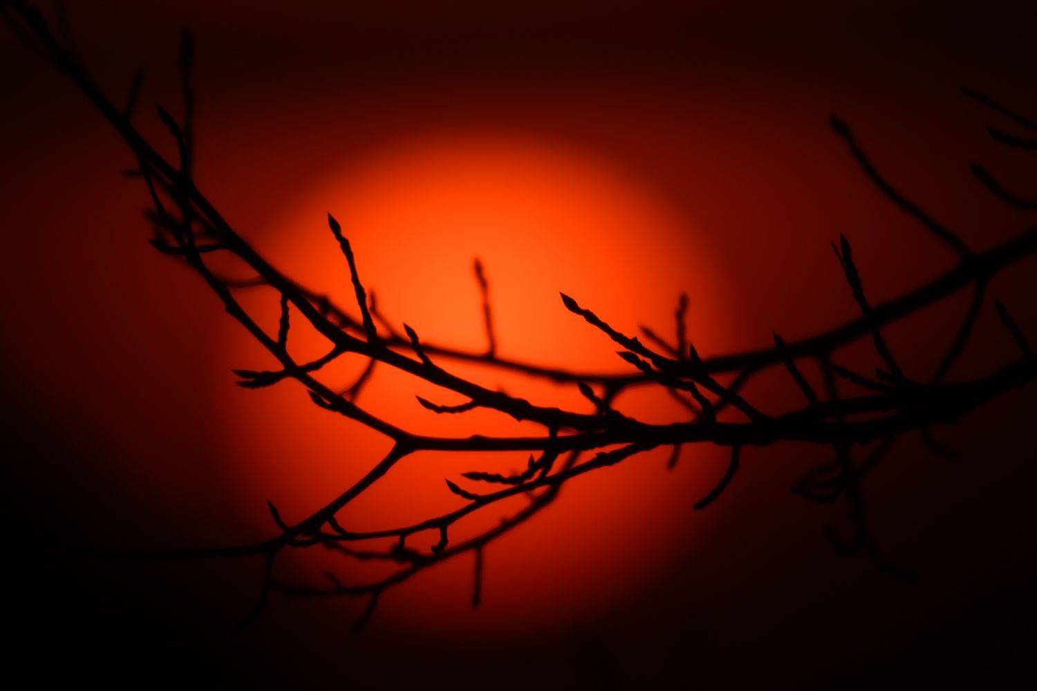 закат, солнце, вечер, Владимир Чебанов