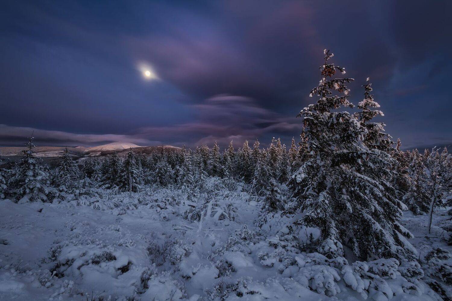landscape,winter,mountains,canon, Iza i Darek Mitręga