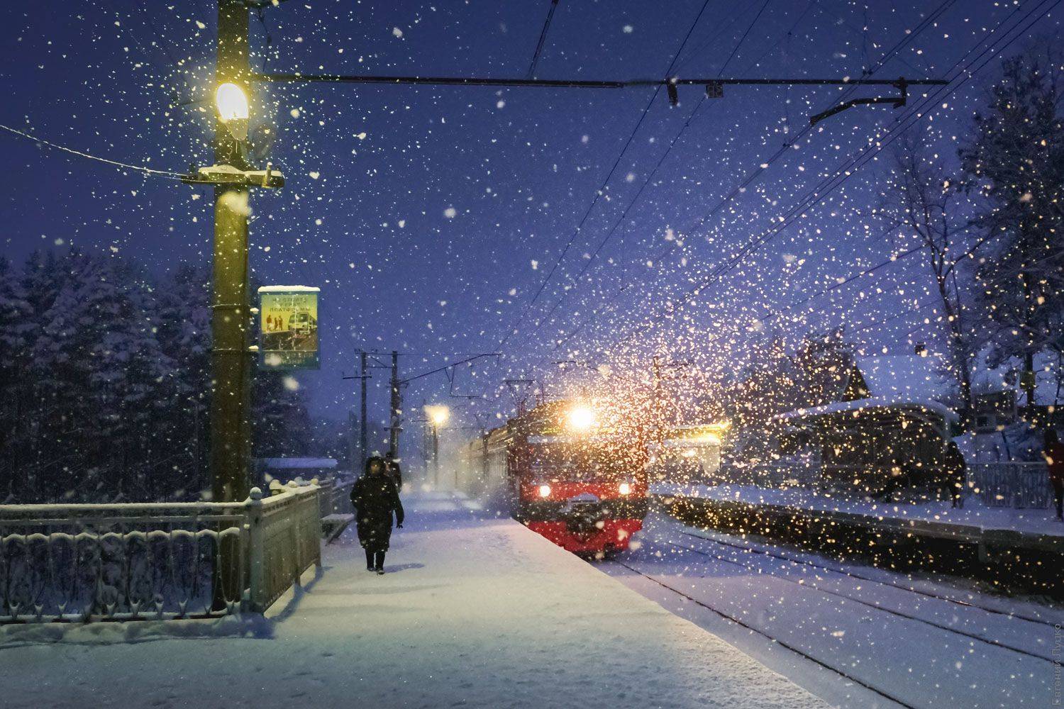 , Евгений Луцко