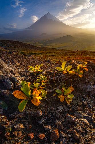 У подножия великана