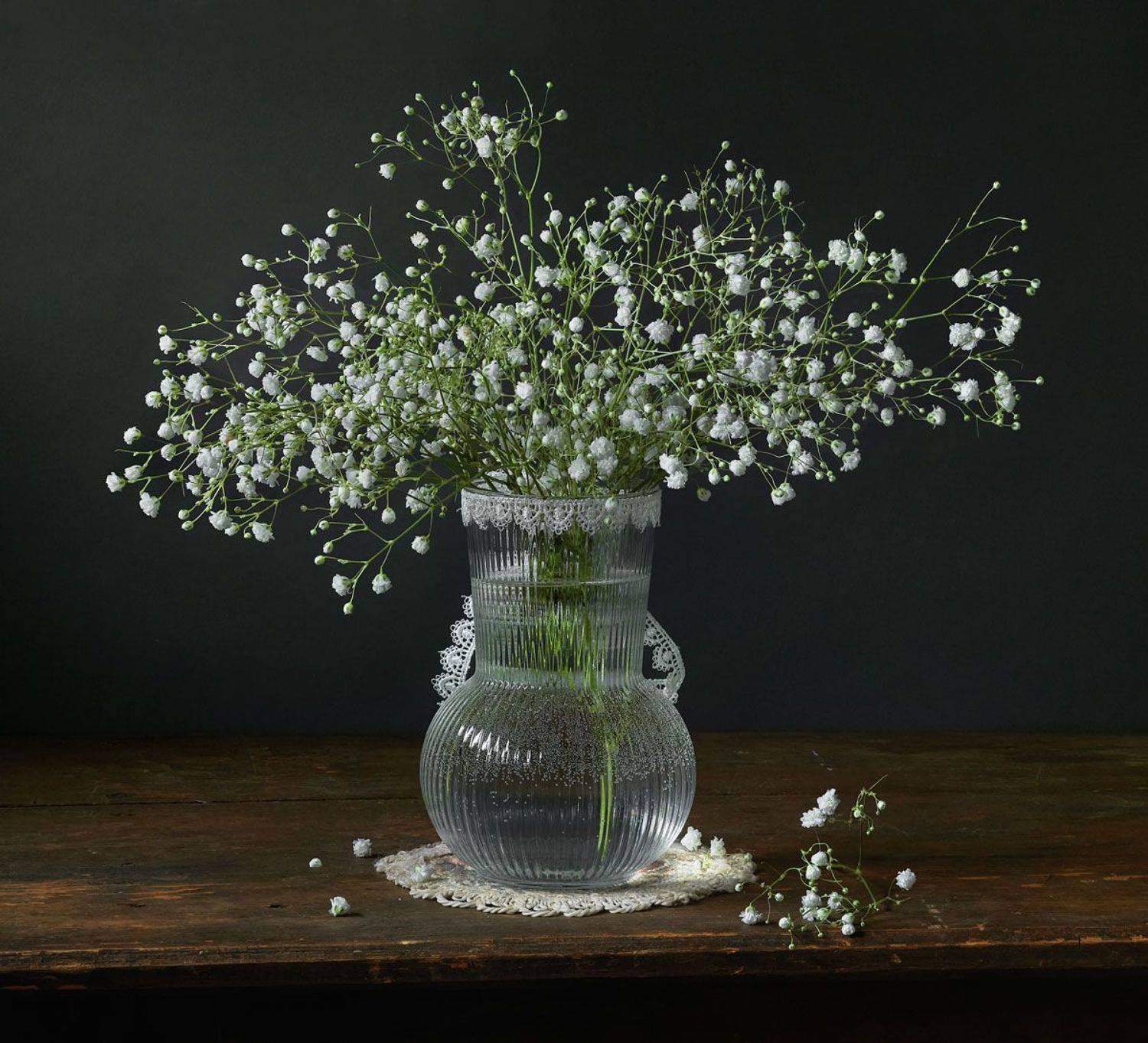 гипсофила, букет, ваза, Виктор Бриг