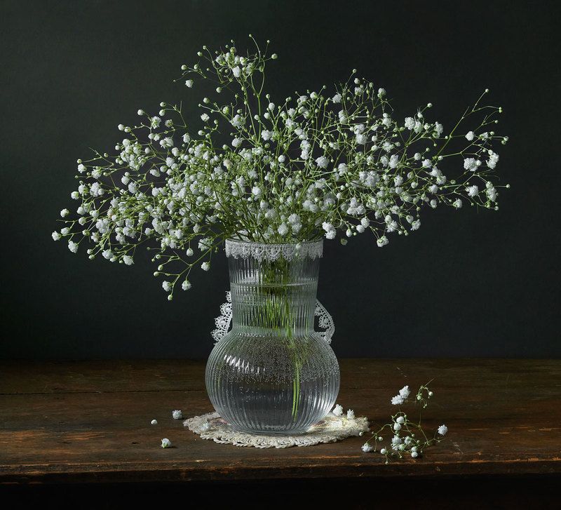 гипсофила, букет, ваза  фото превью