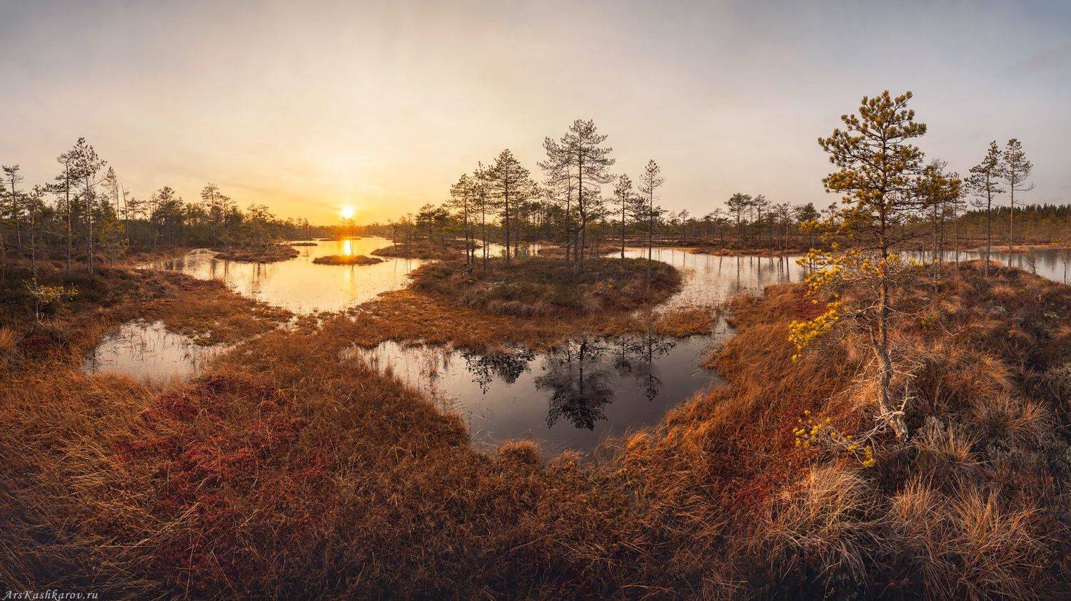 болота Ленинградской области, межсезонье, ленобласть, верховое болото, Арсений Кашкаров