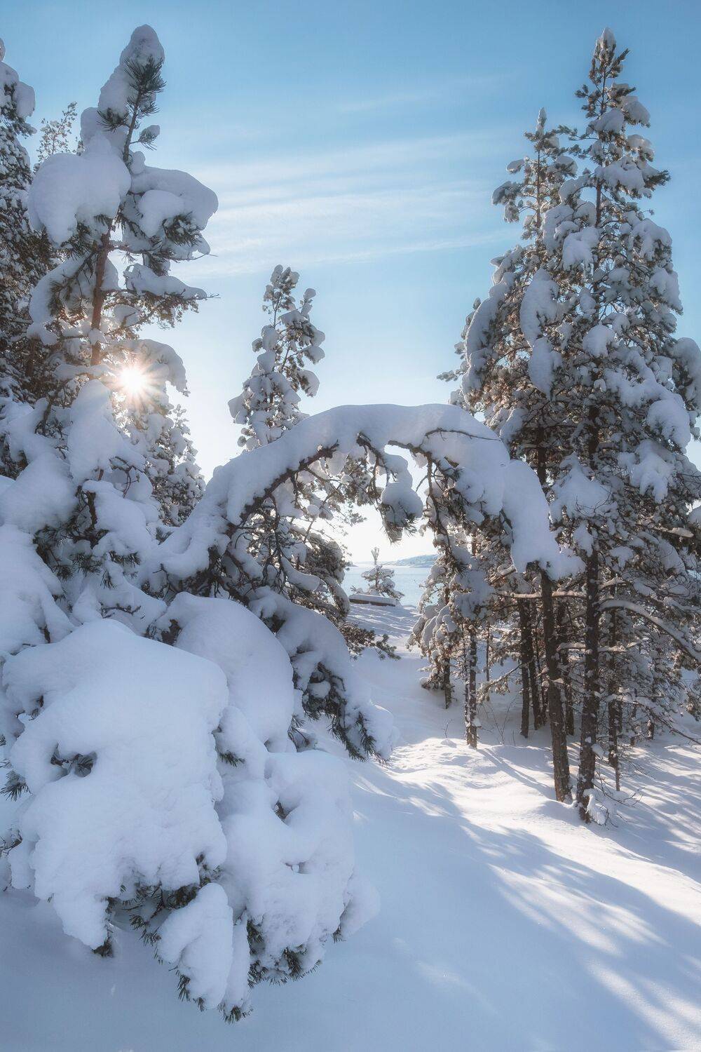 , Светлана Краюшкина