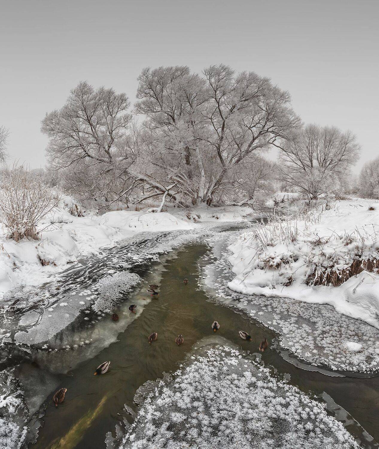 , Николай Андреев