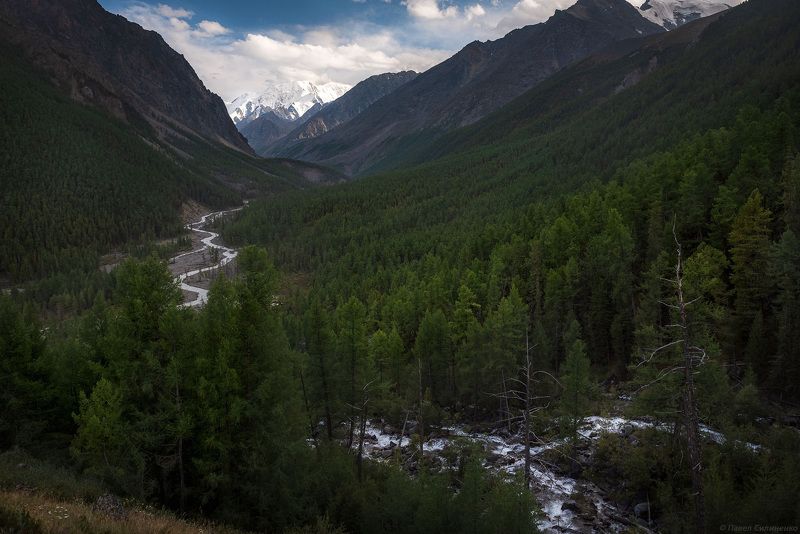 алтай, горы, вечер, лес, река, пейзаж Вечер. Мажой и Каракабак фото превью