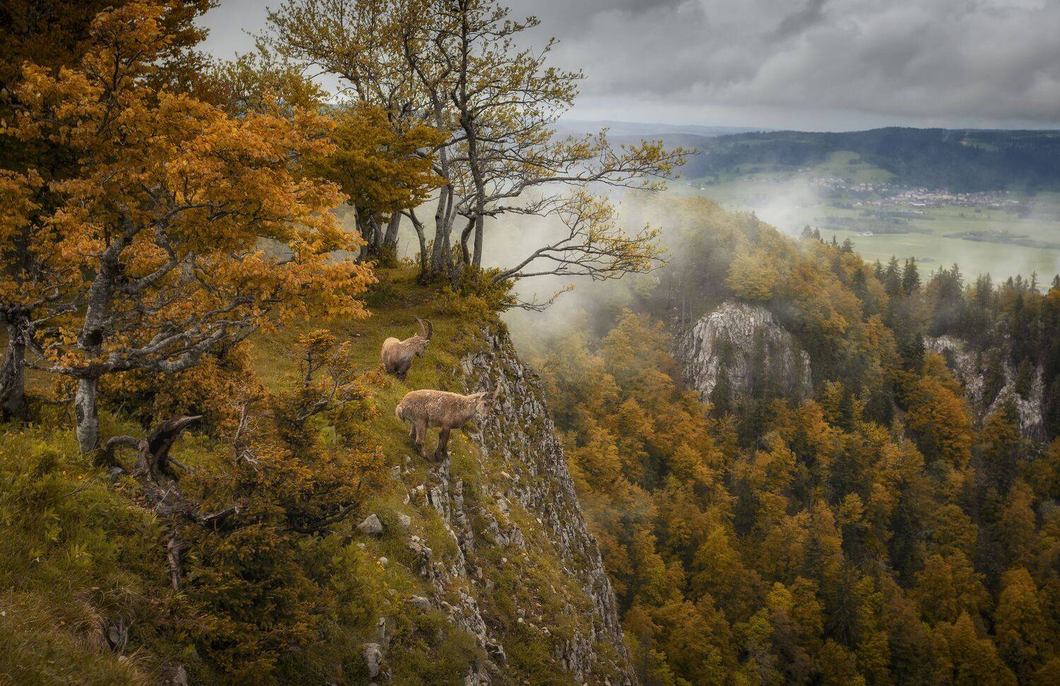 , Александр Безмолитвенный