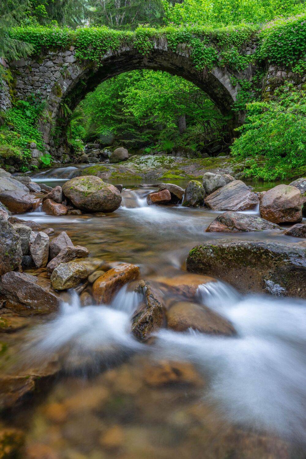 river,nature,landscape,vertical, viktor demidov