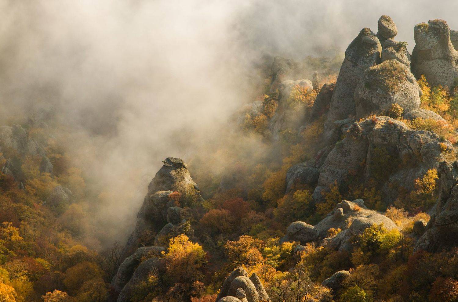 , Елена Покрепа