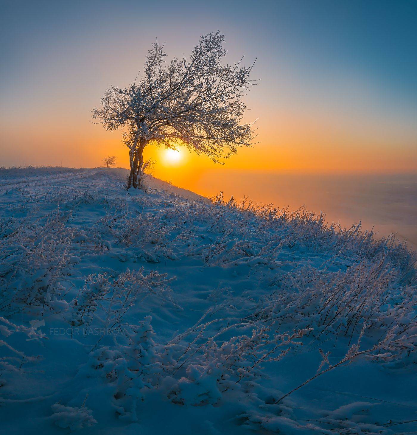 ставропольский край, ставрополье, зима, гора, стрижамент, степь, склон, снег, трава, иней, в снегу, заснежено, туман, солнце, рассвет, золотой, синий, дерево, одно дерево, дорога,, Лашков Фёдор