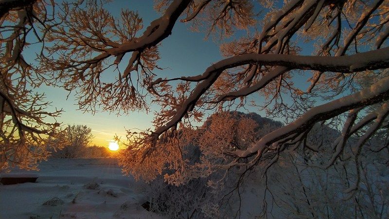 Солнце декабря. фото превью
