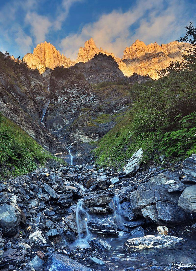 swiss, Матвеев Николай