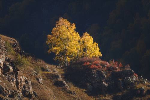 Осень в Приэльбрусье