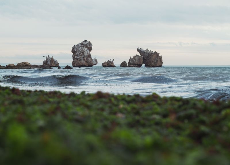 пейзаж, море, скалы, бакланы, красота крыма, черное море, керченский пролив, гелиос 44-2, олимпус, боспорское царство, керчь, крым, россия, анатолий щербак Зимнее камнестояние. фото превью