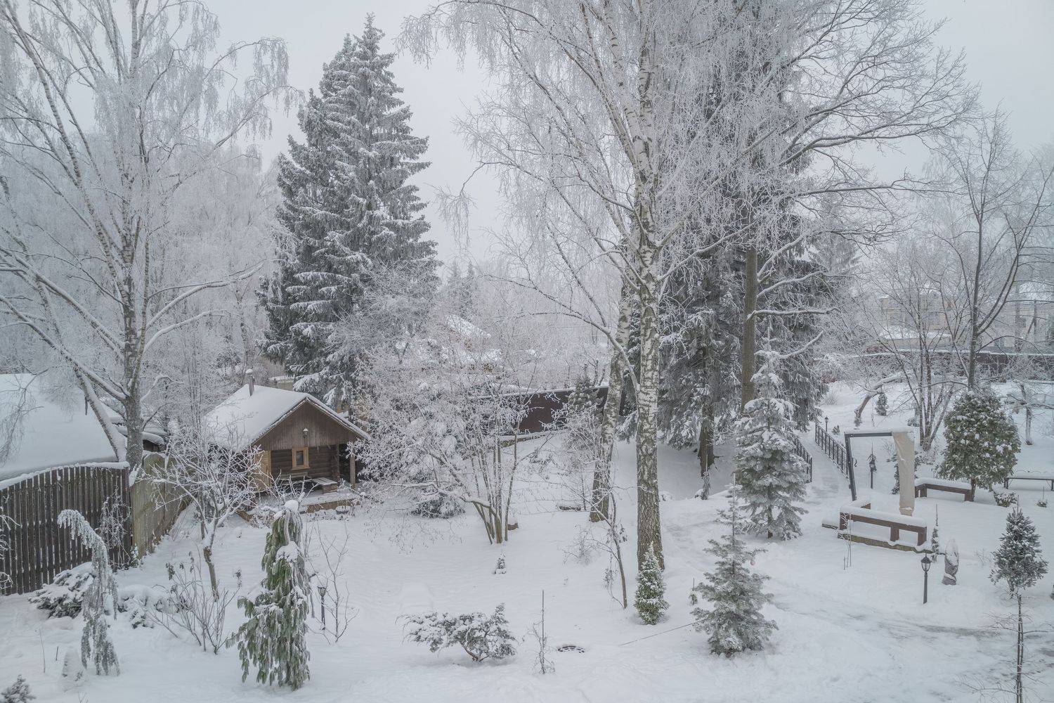 , Курлянцев Алексей