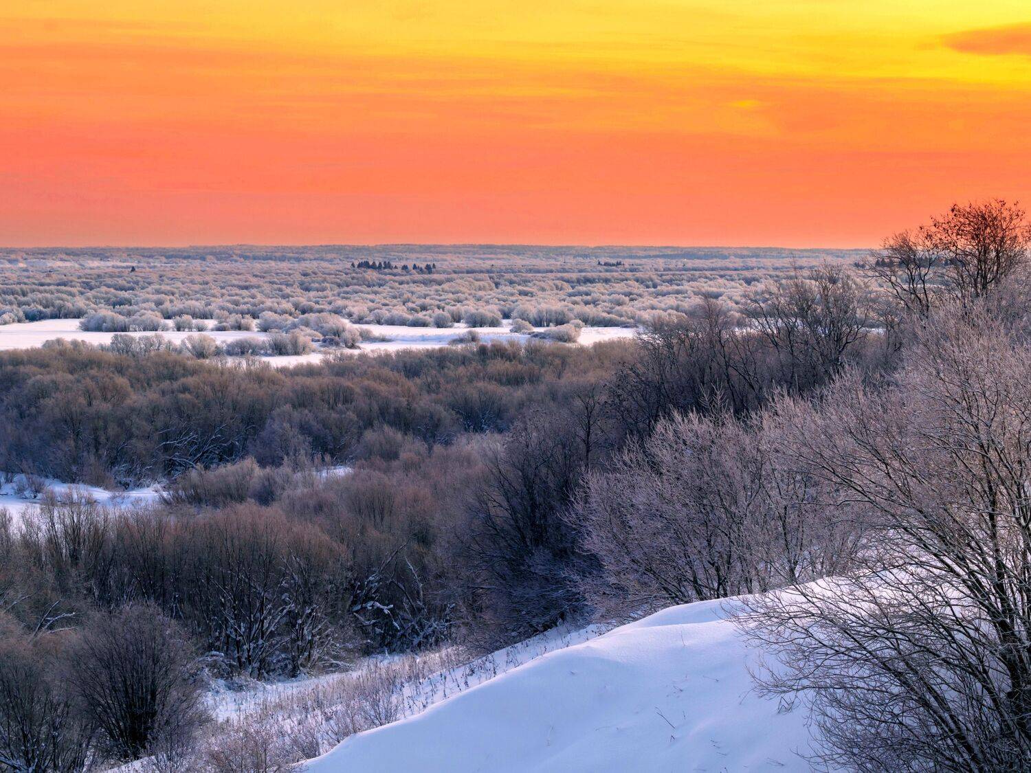 восход, утро, север, природа, холм, пейзаж, свет, деревья, Титов Александр
