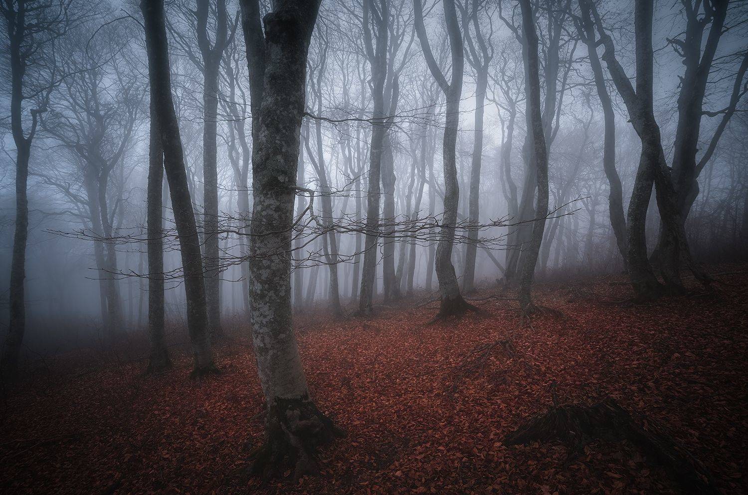 , Игорь Кляхин