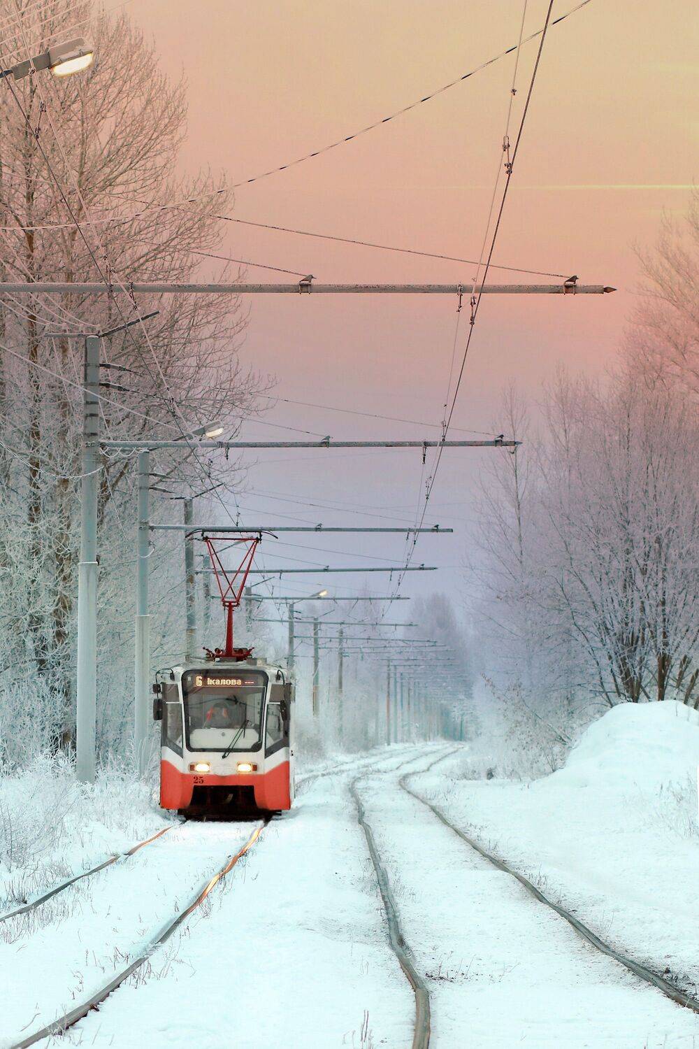 , Светлана Дерябина