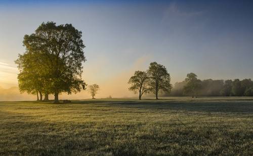 Майское утро