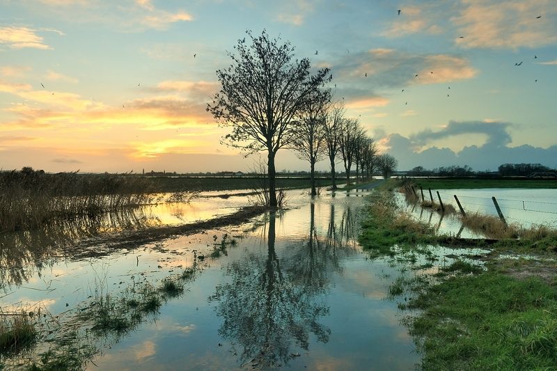 Flood. фото превью