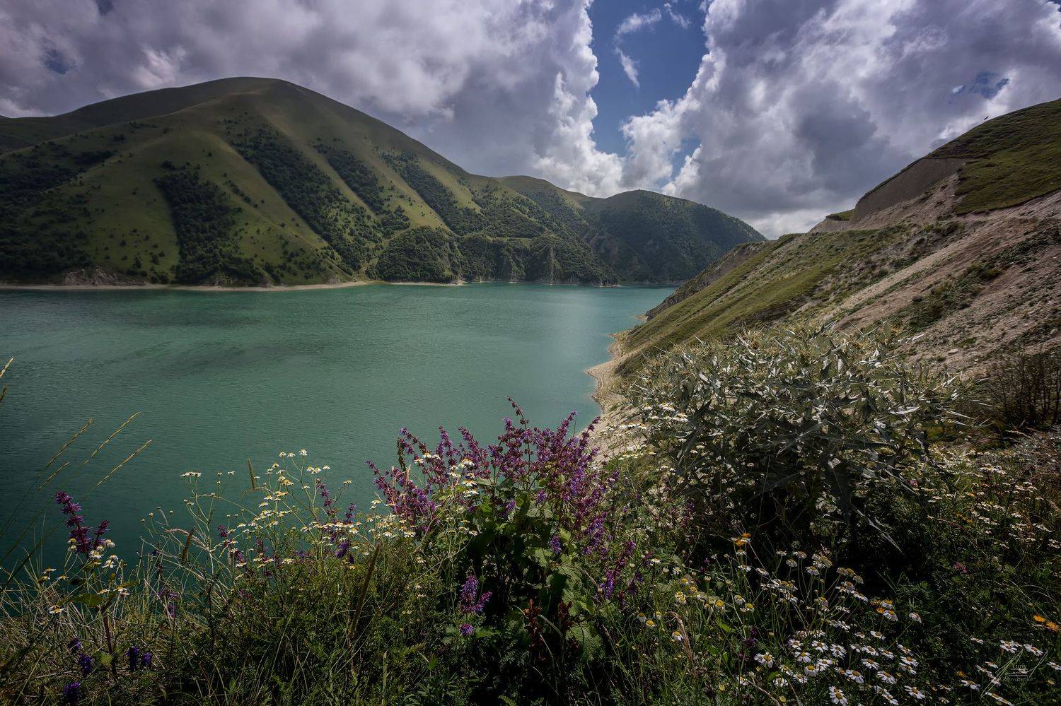 , Юрий Головченко