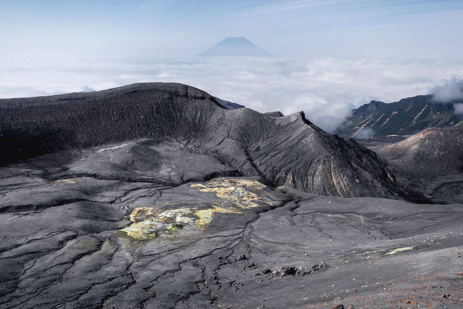 , Дмитрий Купрацевич
