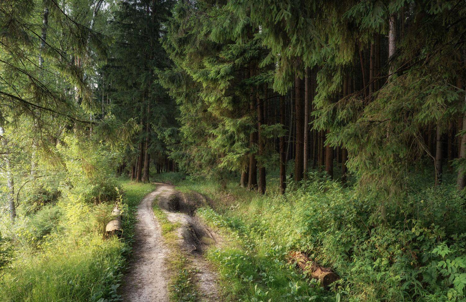 , Мозжухин Максим