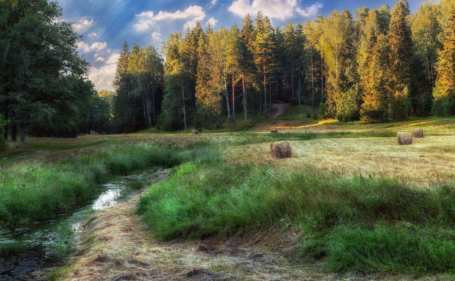 павловск река вечер лето сено закат август, Скороходов Константин