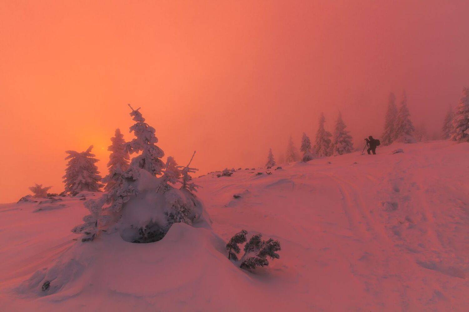 Hard at Work II.... Автор: Iza i Darek Mitręga landscape,winter,mountains,canon, Iza i Darek Mitręga