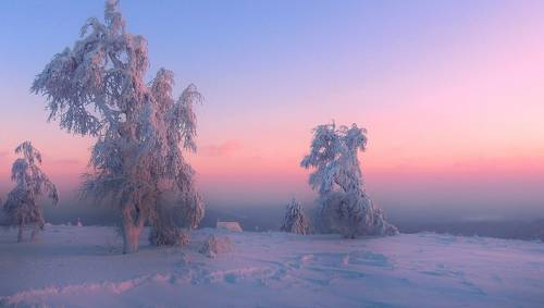 Морозное безмолвие...