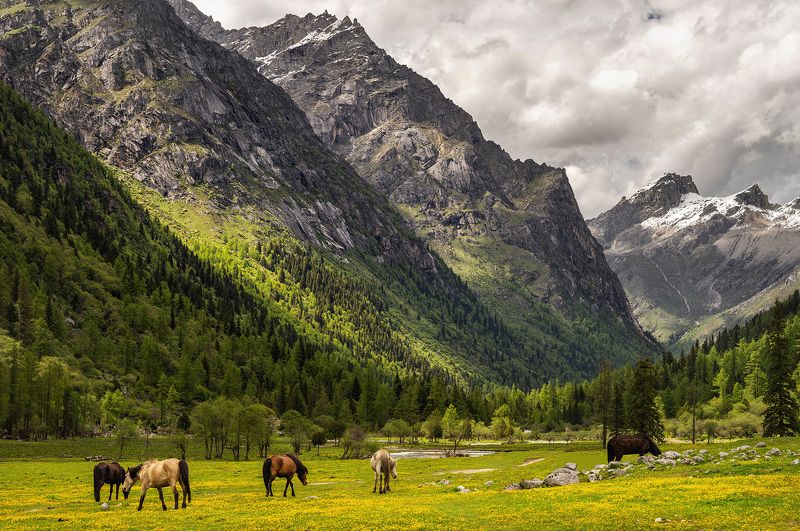 Долина Чан Пин фото превью