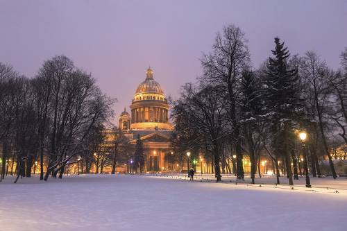 Зимнее утро в Александровском саду