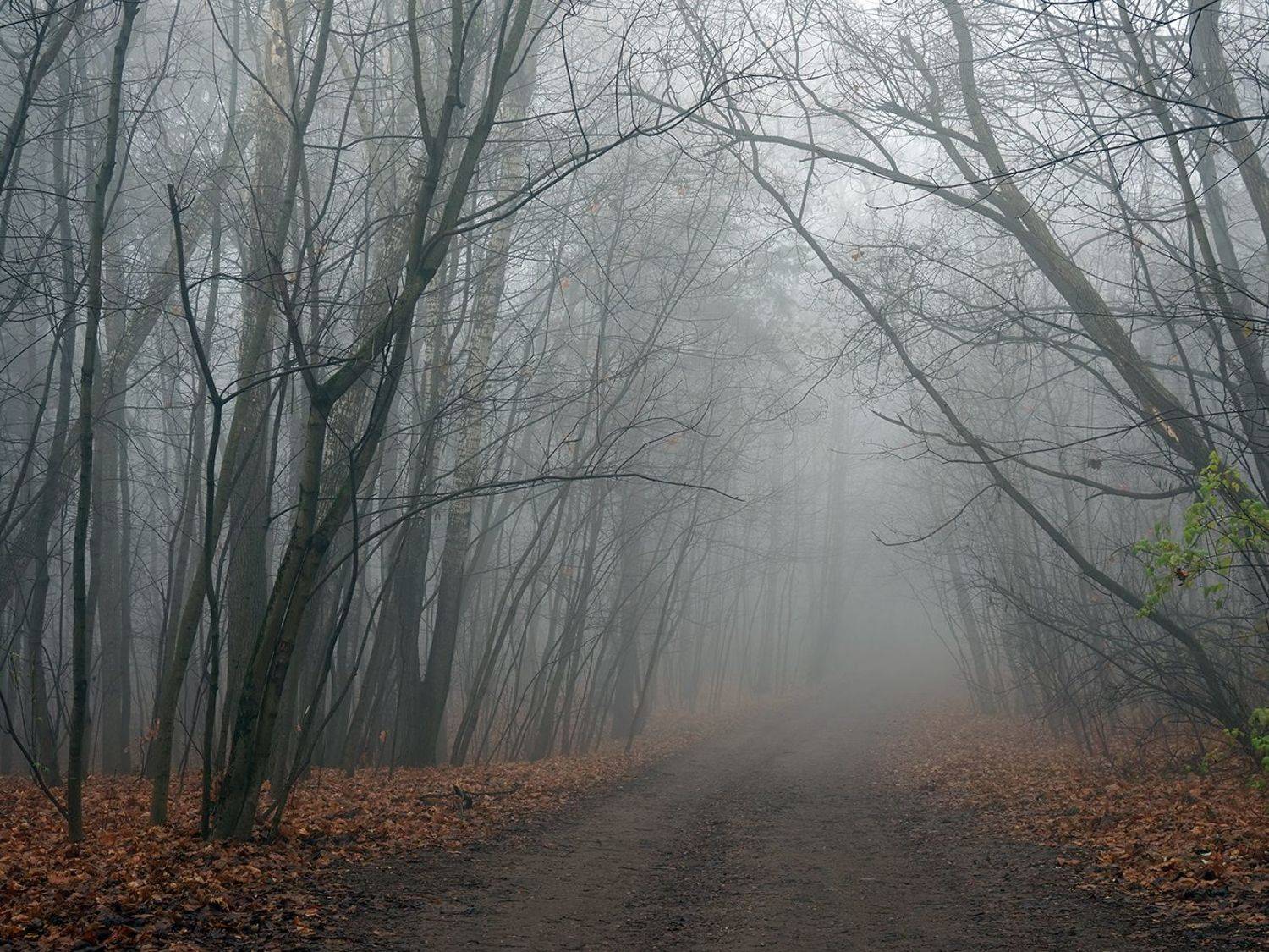 , Сергей Духанин