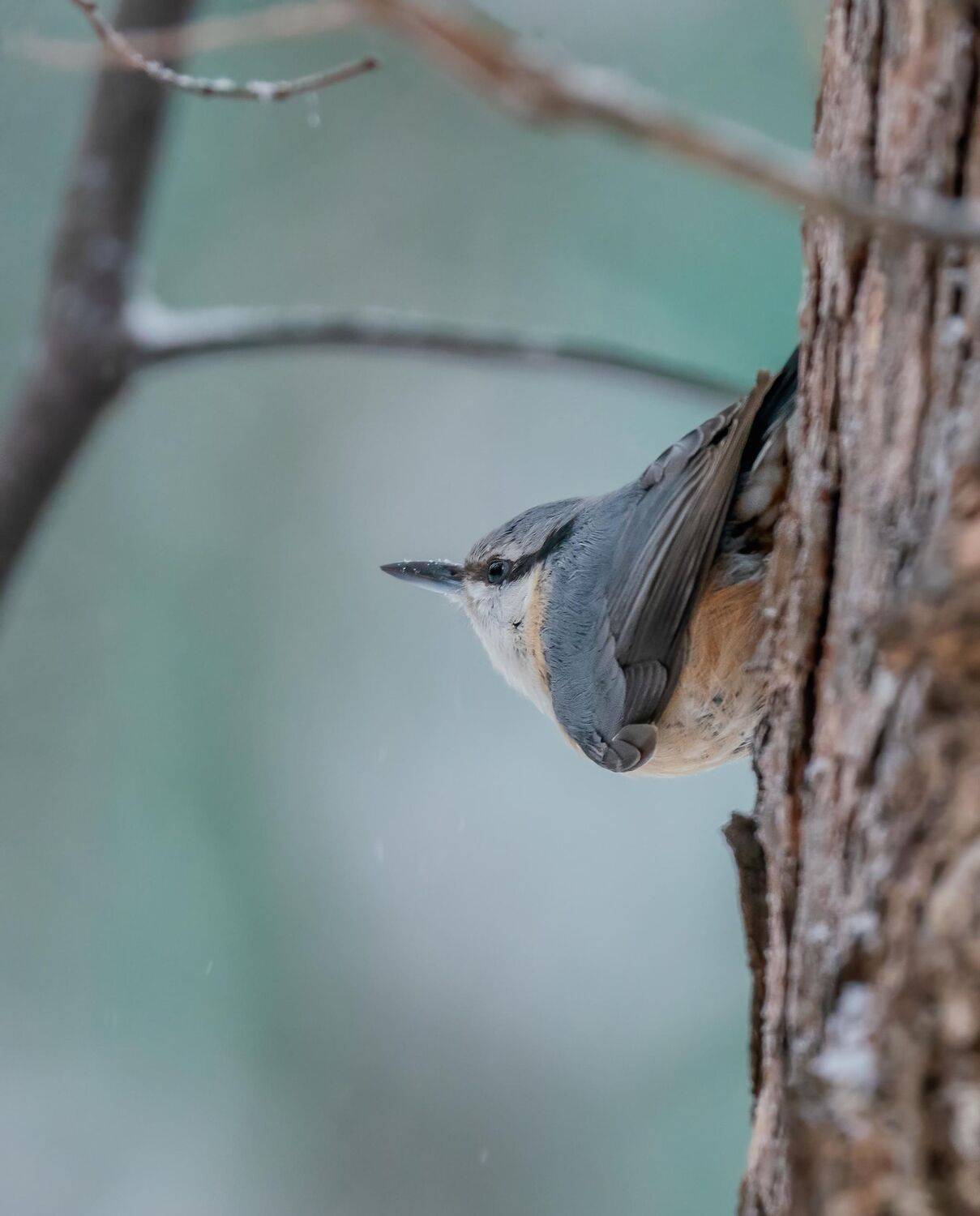 , Константин Дэм