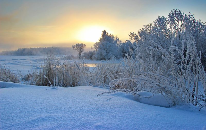 *** фото превью