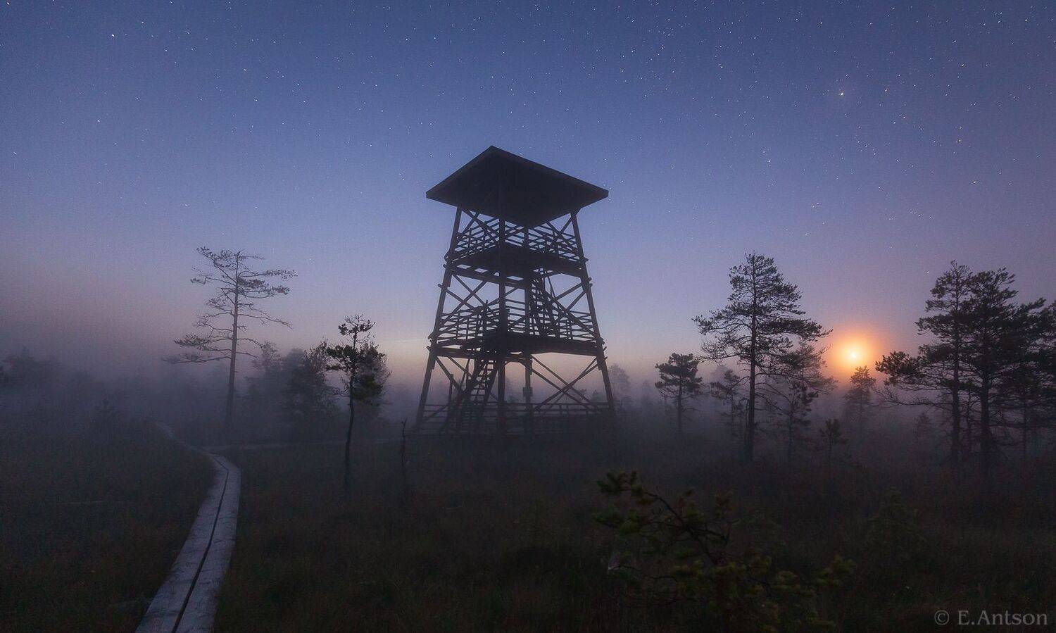 пейзаж, природа, ночь, болото, эстония, Elvis Antson