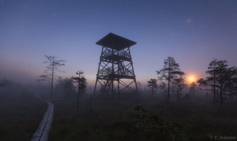 пейзаж, природа, ночь, болото, эстония Ночная атмосфера на болоте фото превью