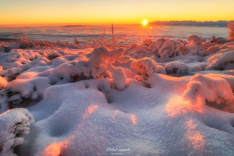 #poland #pentax #benro #lightroom #nikcollection #nature #sunrise #mountains #sky #fog #foggy #morning #pix Sunrise... фото превью